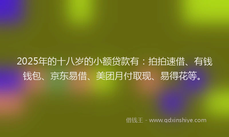 2025年的十八岁的小额贷款有：拍拍速借、有钱钱包、京东易借、美团月付取现、易得花等。