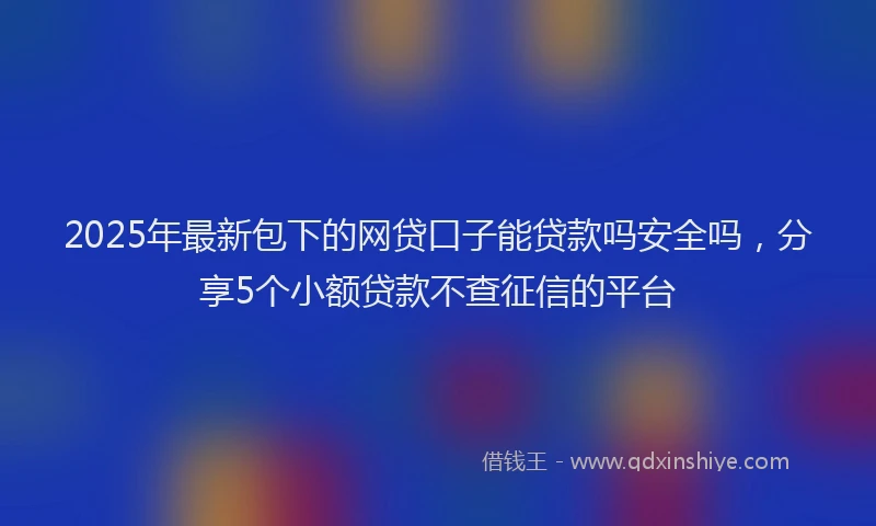 2025年最新包下的网贷口子能贷款吗安全吗，分享5个小额贷款不查征信的平台