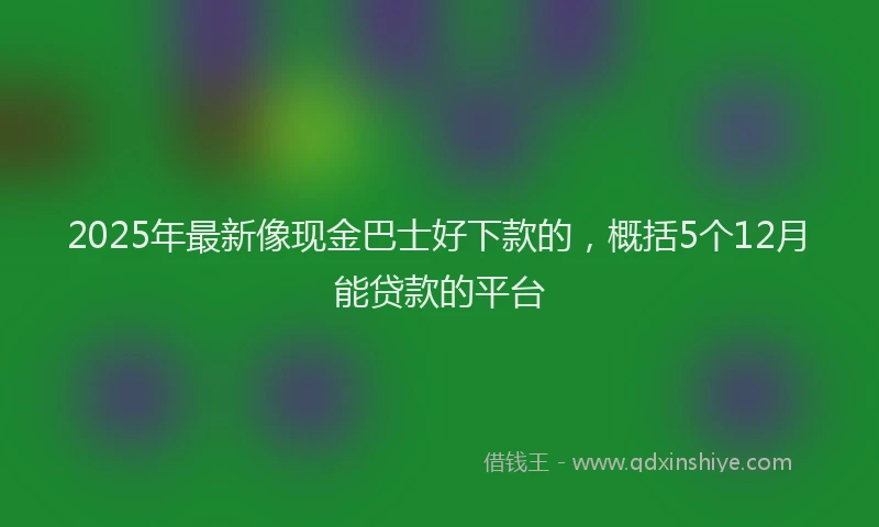 2025年最新像现金巴士好下款的，概括5个12月能贷款的平台