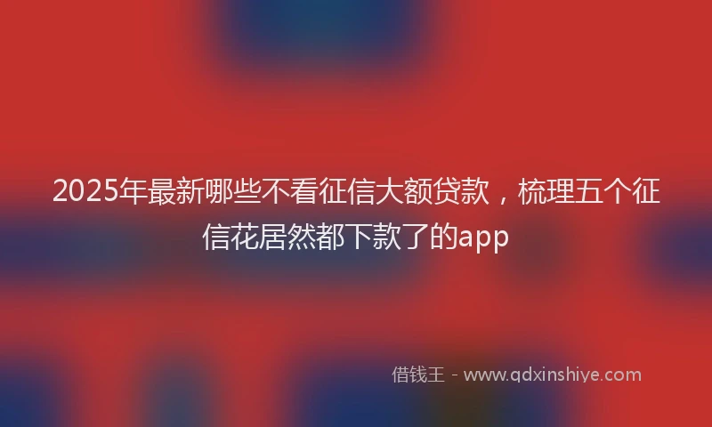 2025年最新哪些不看征信大额贷款，梳理五个征信花居然都下款了的app