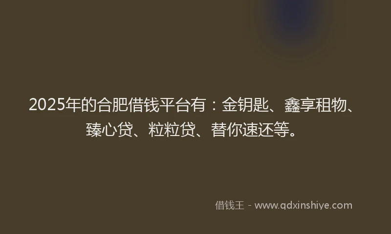 2025年的合肥借钱平台有：金钥匙、鑫享租物、臻心贷、粒粒贷、替你速还等。