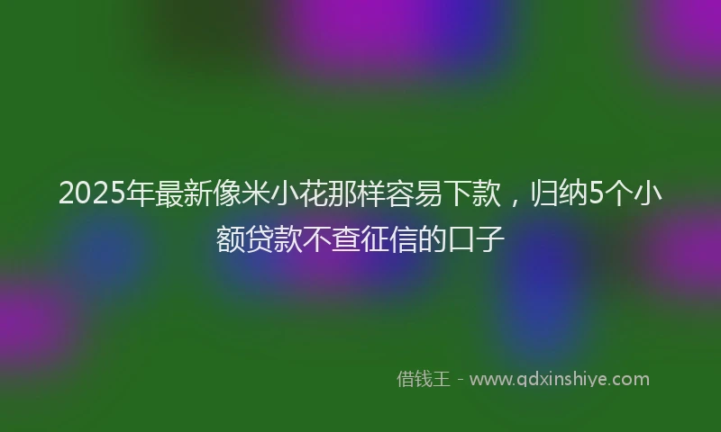 2025年最新像米小花那样容易下款，归纳5个小额贷款不查征信的口子