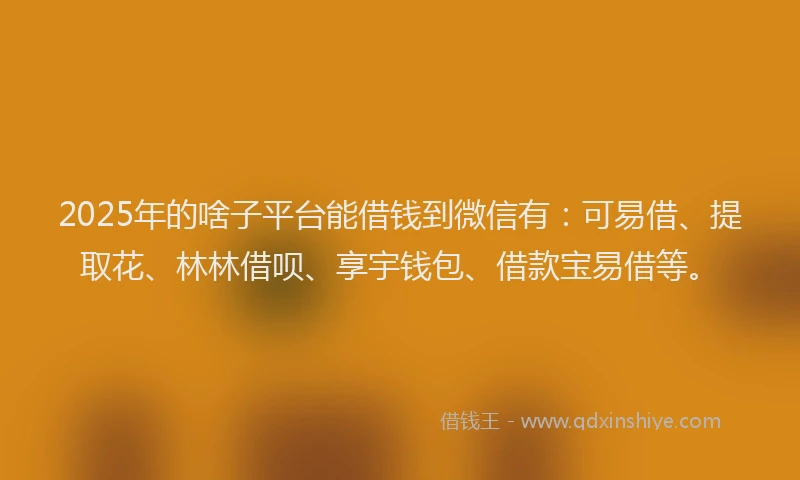 2025年的啥子平台能借钱到微信有：可易借、提取花、林林借呗、享宇钱包、借款宝易借等。