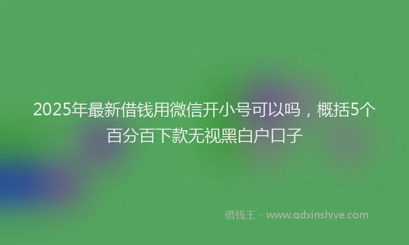 2025年最新借钱用微信开小号可以吗，概括5个百分百下款无视黑白户口子