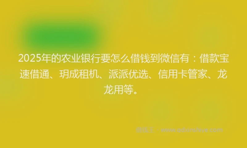 2025年的农业银行要怎么借钱到微信有：借款宝速借通、玥成租机、派派优选、信用卡管家、龙龙用等。