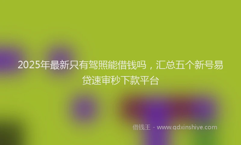 2025年最新只有驾照能借钱吗，汇总五个新号易贷速审秒下款平台