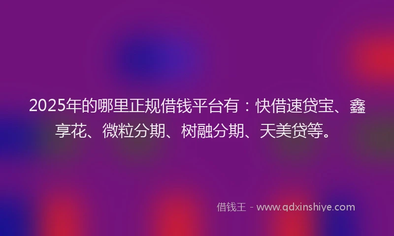 2025年的哪里正规借钱平台有：快借速贷宝、鑫享花、微粒分期、树融分期、天美贷等。