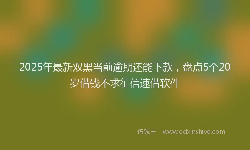 2025年最新双黑当前逾期还能下款，盘点5个20岁借钱不求征信速借软件