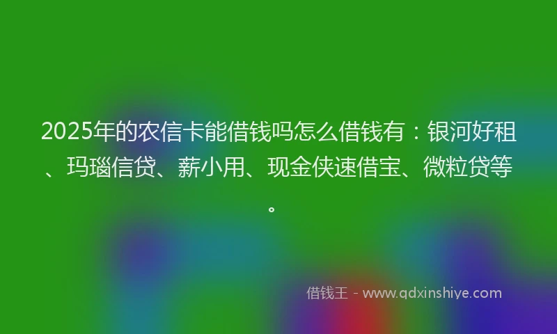 2025年的农信卡能借钱吗怎么借钱有：银河好租、玛瑙信贷、薪小用、现金侠速借宝、微粒贷等。