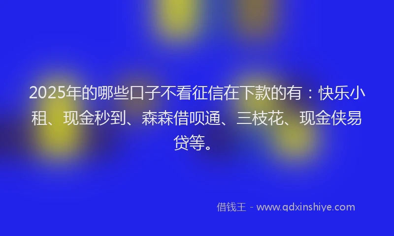 2025年的哪些口子不看征信在下款的有：快乐小租、现金秒到、森森借呗通、三枝花、现金侠易贷等。
