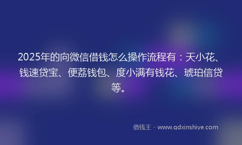 2025年的向微信借钱怎么操作流程有：天小花、钱速贷宝、便荔钱包、度小满有钱花、琥珀信贷等。