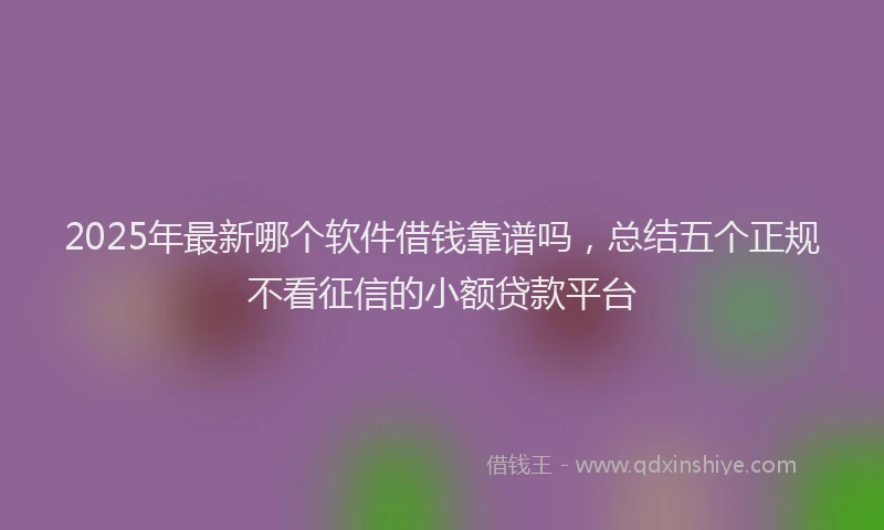 2025年最新哪个软件借钱靠谱吗，总结五个正规不看征信的小额贷款平台