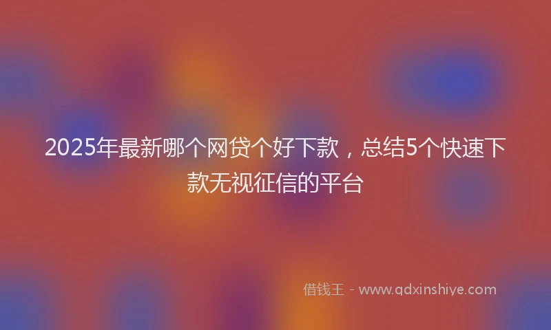 2025年最新哪个网贷个好下款，总结5个快速下款无视征信的平台