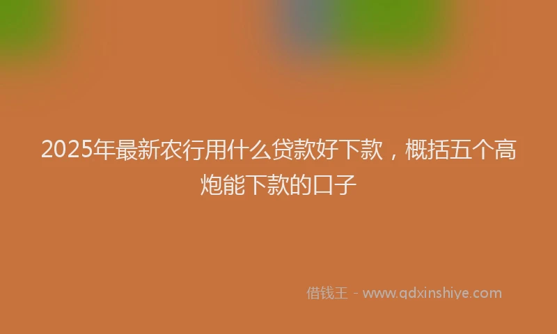 2025年最新农行用什么贷款好下款，概括五个高炮能下款的口子