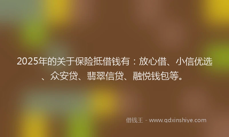 2025年的关于保险抵借钱有：放心借、小信优选、众安贷、翡翠信贷、融悦钱包等。