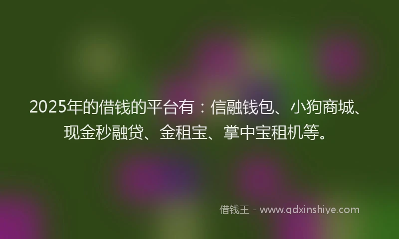 2025年的借钱的平台有：信融钱包、小狗商城、现金秒融贷、金租宝、掌中宝租机等。