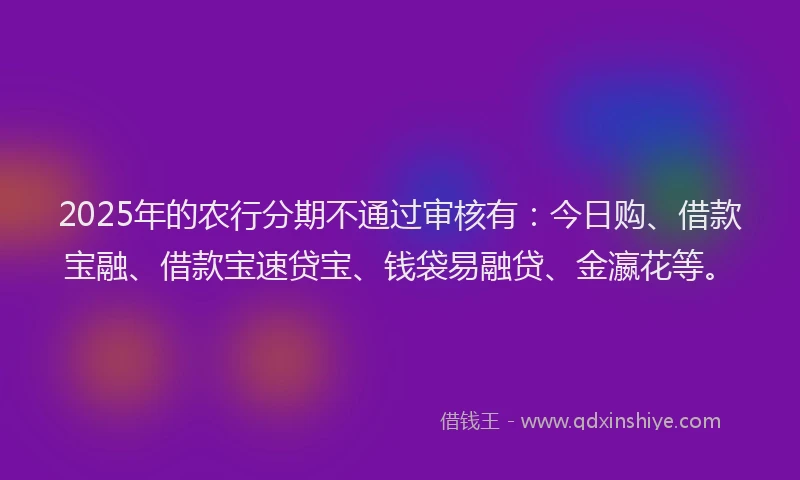 2025年的农行分期不通过审核有：今日购、借款宝融、借款宝速贷宝、钱袋易融贷、金瀛花等。