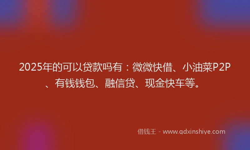2025年的可以贷款吗有：微微快借、小油菜P2P、有钱钱包、融信贷、现金快车等。