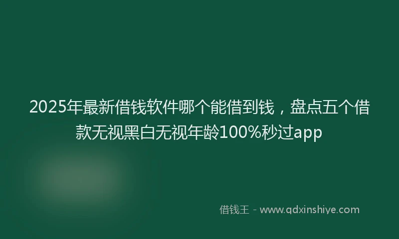 2025年最新借钱软件哪个能借到钱，盘点五个借款无视黑白无视年龄100%秒过app