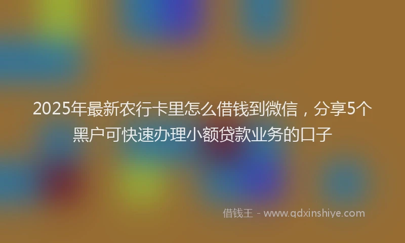2025年最新农行卡里怎么借钱到微信，分享5个黑户可快速办理小额贷款业务的口子