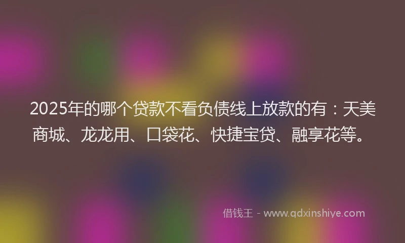 2025年的哪个贷款不看负债线上放款的有：天美商城、龙龙用、口袋花、快捷宝贷、融享花等。