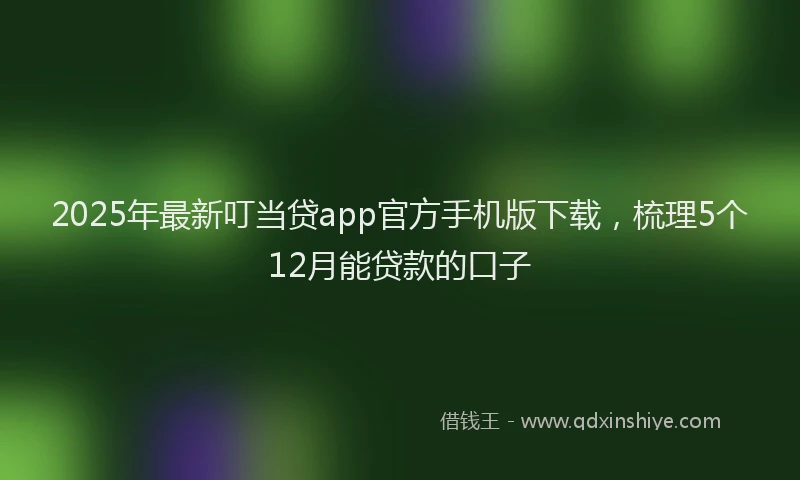 2025年最新叮当贷app官方手机版下载，梳理5个12月能贷款的口子