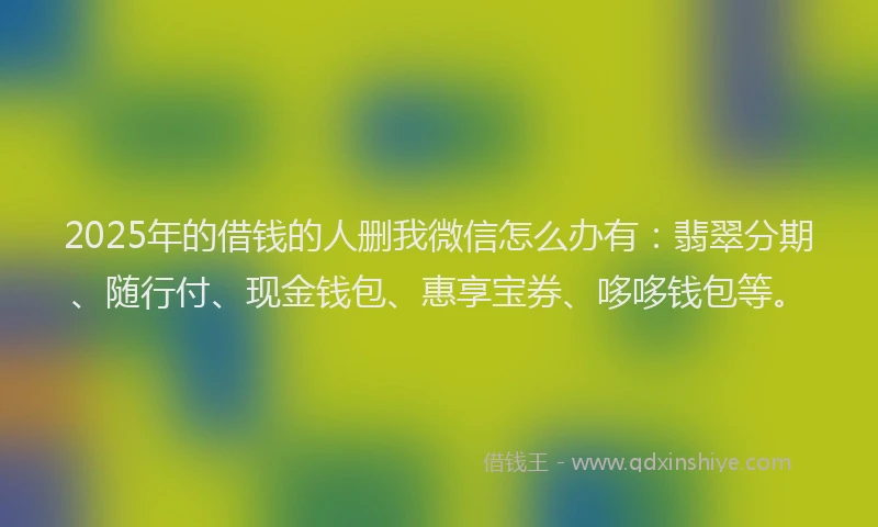 2025年的借钱的人删我微信怎么办有：翡翠分期、随行付、现金钱包、惠享宝券、哆哆钱包等。