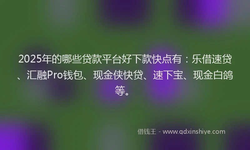 2025年的哪些贷款平台好下款快点有：乐借速贷、汇融Pro钱包、现金侠快贷、速下宝、现金白鸽等。