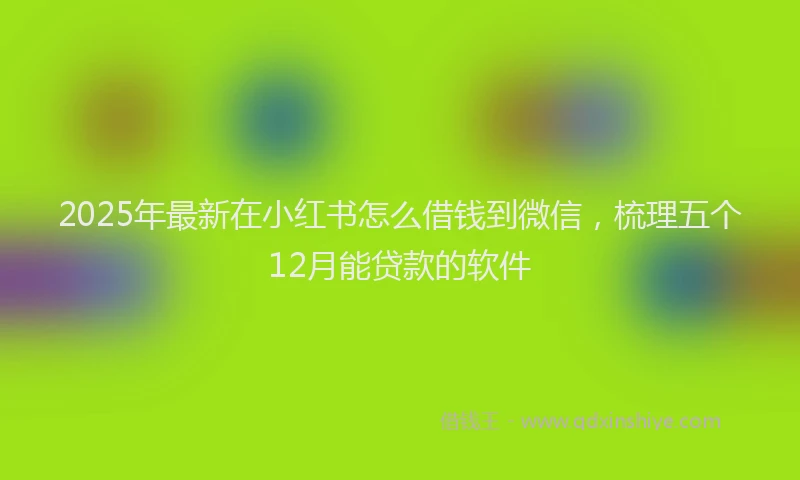 2025年最新在小红书怎么借钱到微信，梳理五个12月能贷款的软件