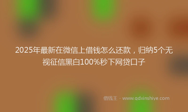2025年最新在微信上借钱怎么还款，归纳5个无视征信黑白100%秒下网贷口子