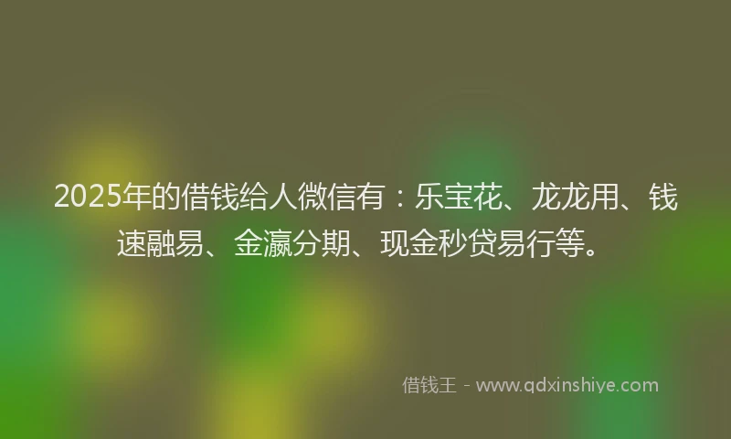 2025年的借钱给人微信有：乐宝花、龙龙用、钱速融易、金瀛分期、现金秒贷易行等。