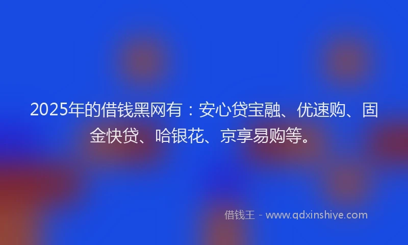 2025年的借钱黑网有：安心贷宝融、优速购、固金快贷、哈银花、京享易购等。