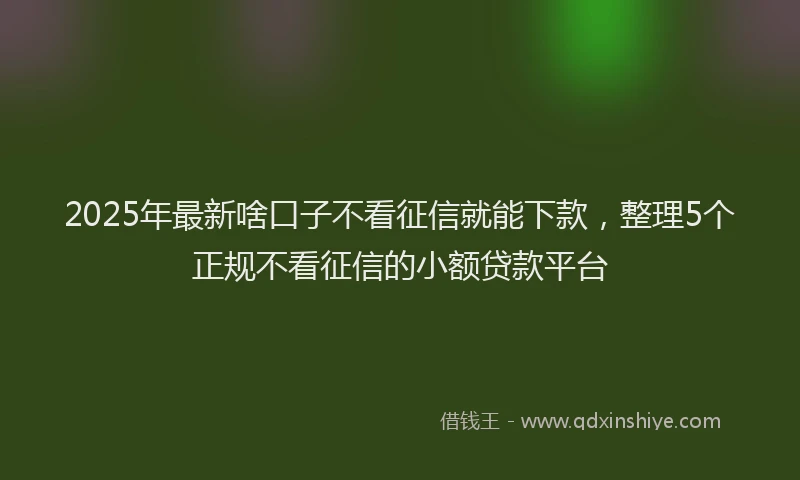 2025年最新啥口子不看征信就能下款，整理5个正规不看征信的小额贷款平台