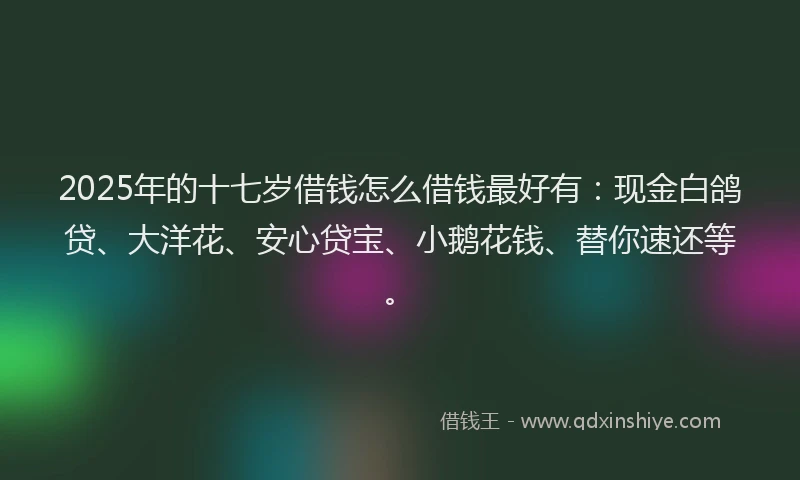 2025年的十七岁借钱怎么借钱最好有：现金白鸽贷、大洋花、安心贷宝、小鹅花钱、替你速还等。