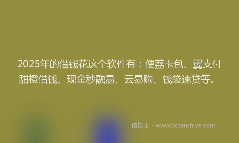 2025年的借钱花这个软件有：便荔卡包、翼支付甜橙借钱、现金秒融易、云易购、钱袋速贷等。