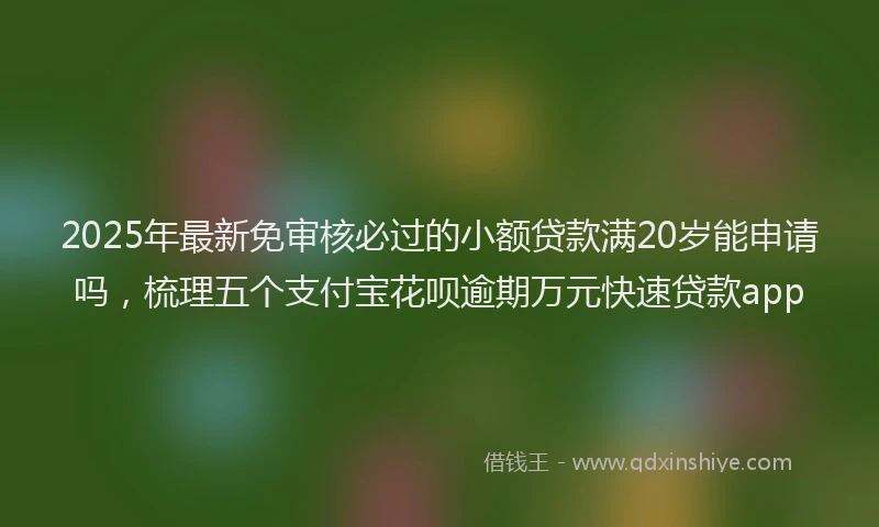 2025年最新免审核必过的小额贷款满20岁能申请吗，梳理五个支付宝花呗逾期万元快速贷款app
