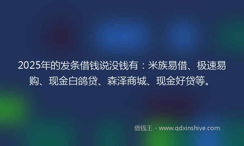 2025年的发条借钱说没钱有：米族易借、极速易购、现金白鸽贷、森泽商城、现金好贷等。