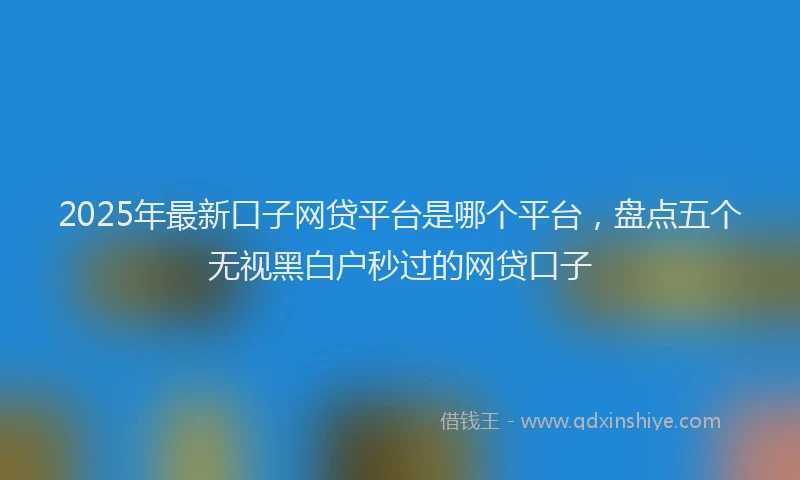 2025年最新口子网贷平台是哪个平台，盘点五个无视黑白户秒过的网贷口子