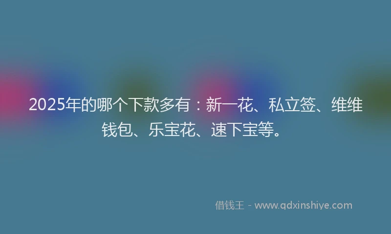 2025年的哪个下款多有：新一花、私立签、维维钱包、乐宝花、速下宝等。