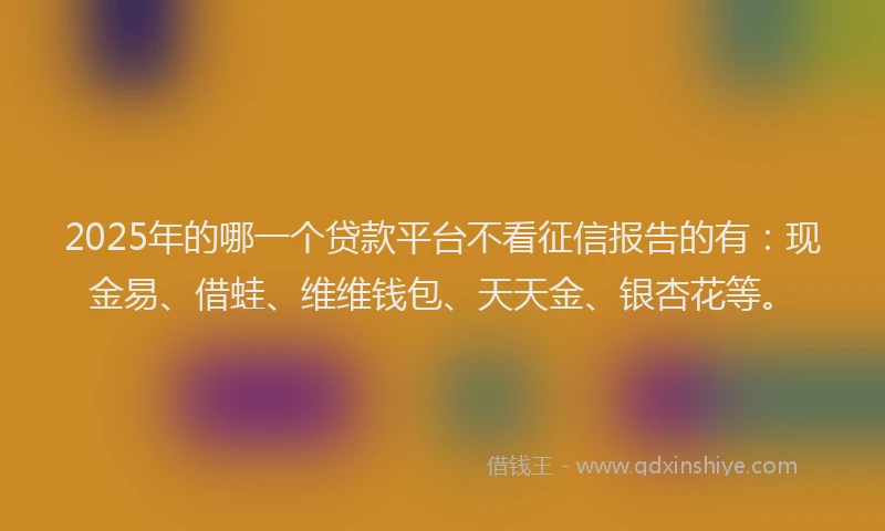 2025年的哪一个贷款平台不看征信报告的有：现金易、借蛙、维维钱包、天天金、银杏花等。