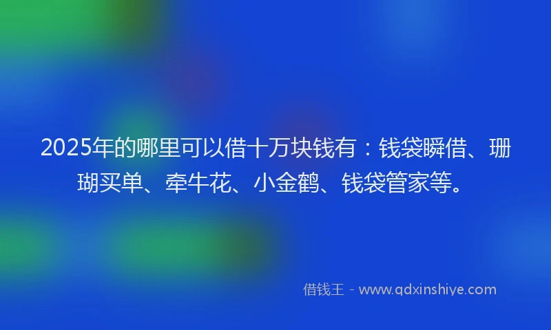2025年的哪里可以借十万块钱有：钱袋瞬借、珊瑚买单、牵牛花、小金鹤、钱袋管家等。