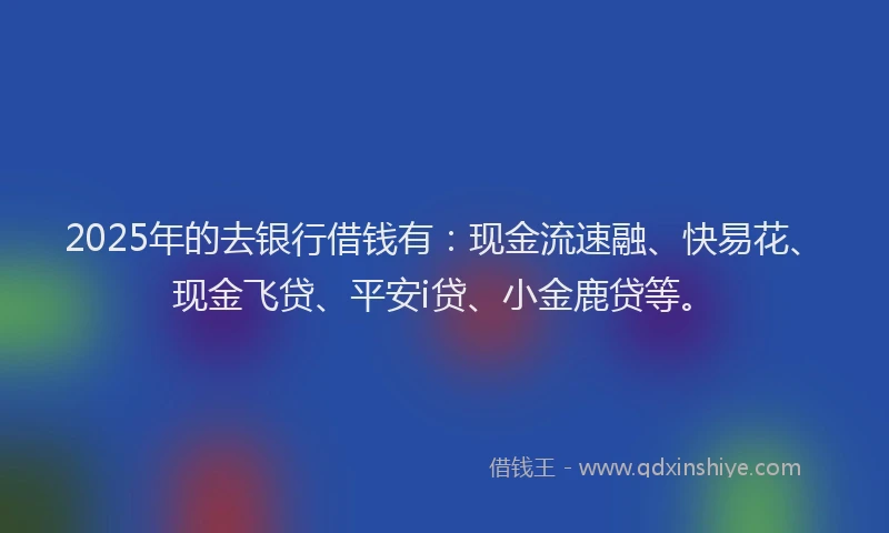 2025年的去银行借钱有：现金流速融、快易花、现金飞贷、平安i贷、小金鹿贷等。