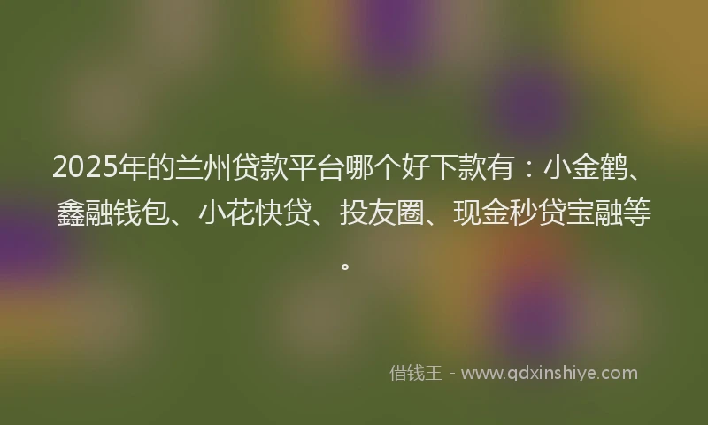 2025年的兰州贷款平台哪个好下款有：小金鹤、鑫融钱包、小花快贷、投友圈、现金秒贷宝融等。