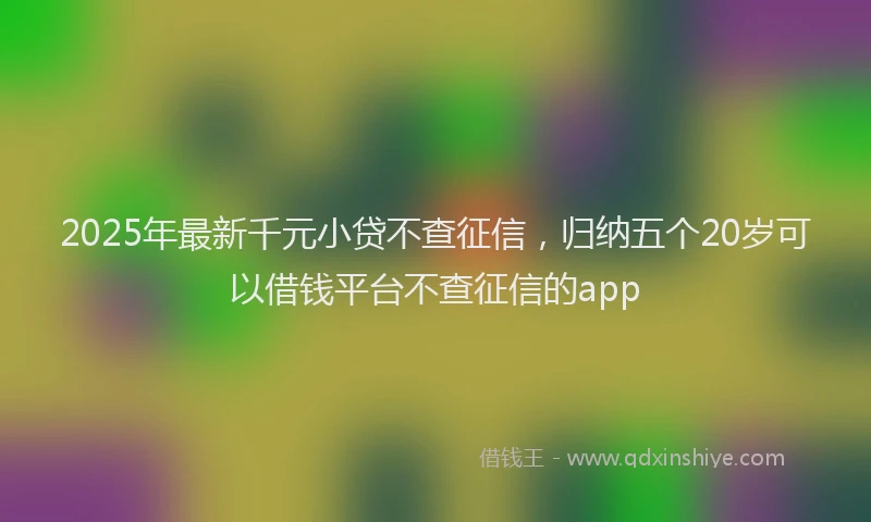 2025年最新千元小贷不查征信，归纳五个20岁可以借钱平台不查征信的app