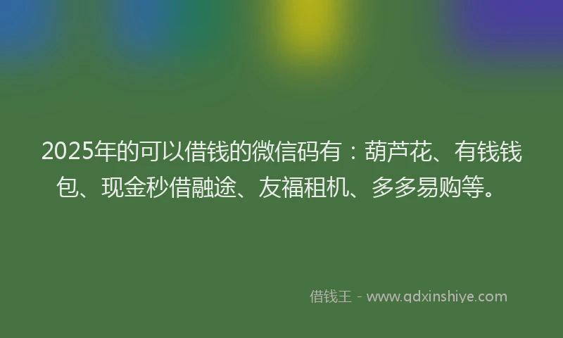 2025年的可以借钱的微信码有：葫芦花、有钱钱包、现金秒借融途、友福租机、多多易购等。
