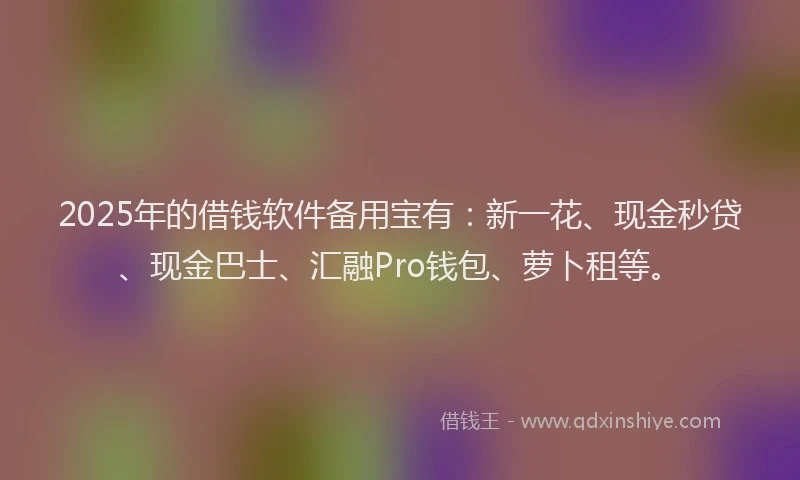 2025年的借钱软件备用宝有：新一花、现金秒贷、现金巴士、汇融Pro钱包、萝卜租等。