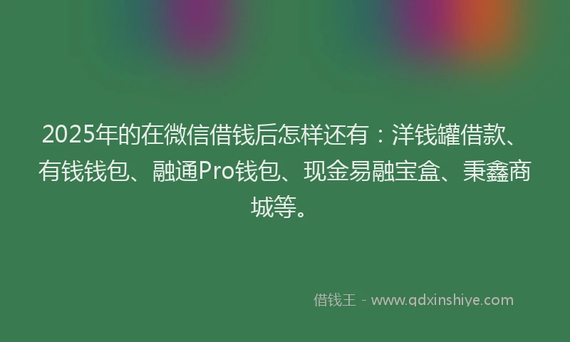 2025年的在微信借钱后怎样还有：洋钱罐借款、有钱钱包、融通Pro钱包、现金易融宝盒、秉鑫商城等。