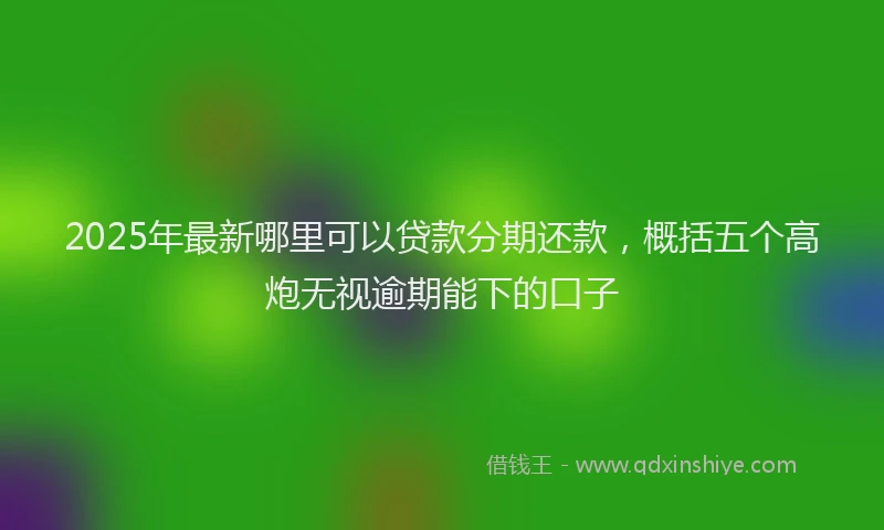 2025年最新哪里可以贷款分期还款，概括五个高炮无视逾期能下的口子