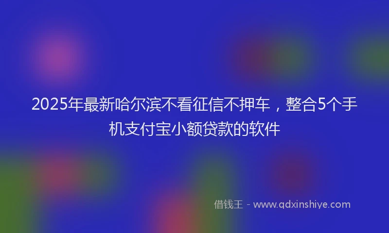 2025年最新哈尔滨不看征信不押车，整合5个手机支付宝小额贷款的软件