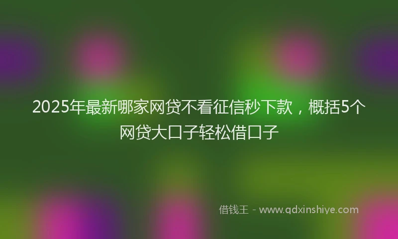 2025年最新哪家网贷不看征信秒下款，概括5个网贷大口子轻松借口子